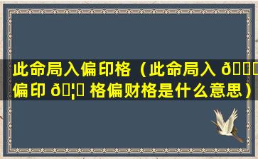 此命局入偏印格（此命局入 🐟 偏印 🦈 格偏财格是什么意思）